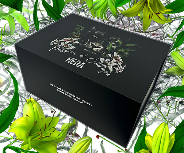 HERA-printed-influencer-video-box